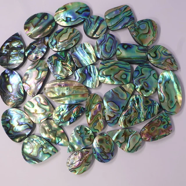 Abalone — Categoria AA - foto 1