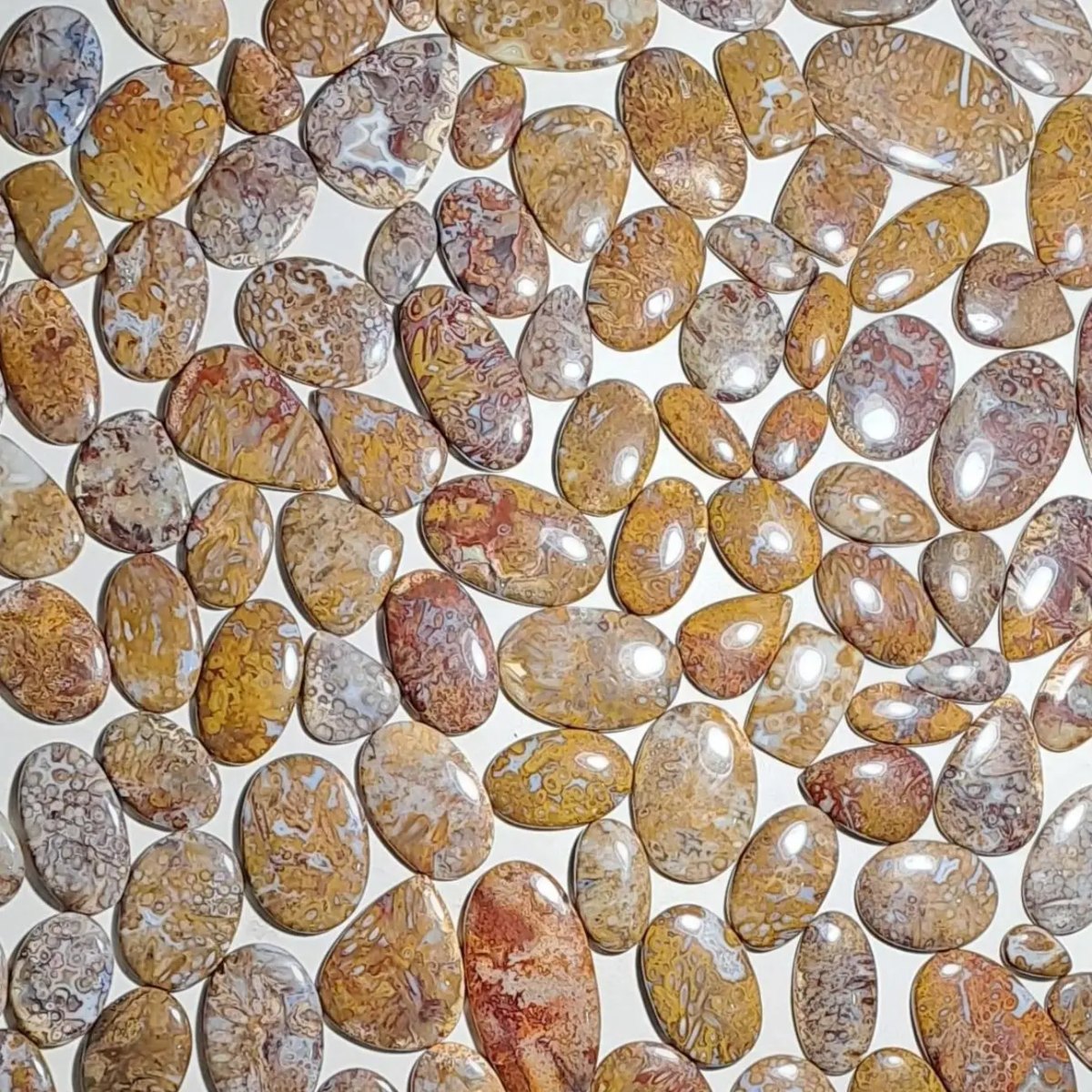 Agata Plum Wood — Categoria A - foto 1