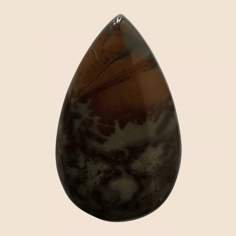 Eliotropio Africano