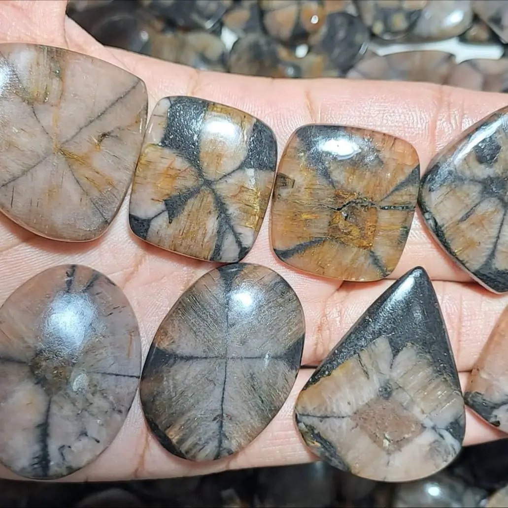 Chiastolite — Categoria A - foto 1