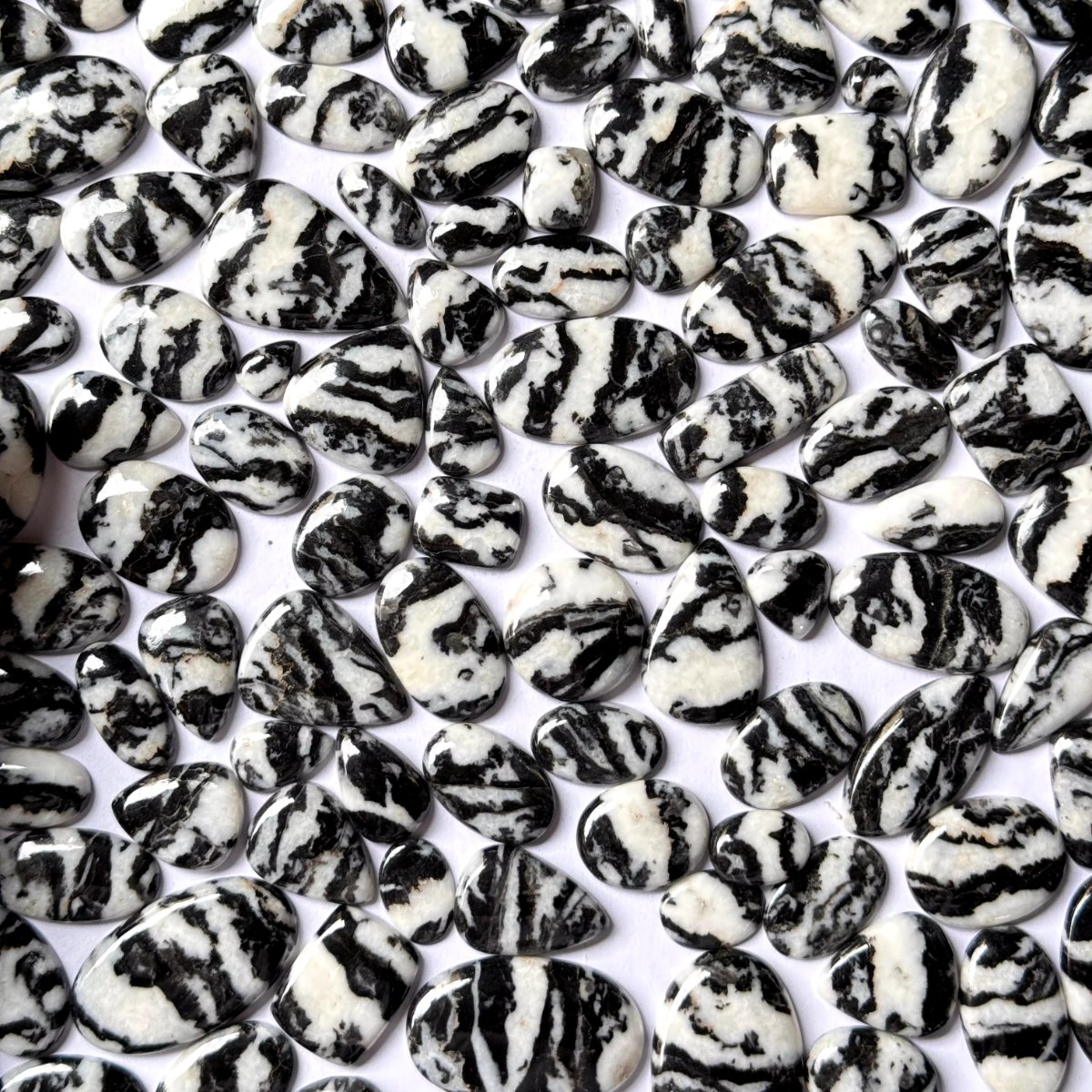 Diaspro Zebra — Categoria A - foto 1