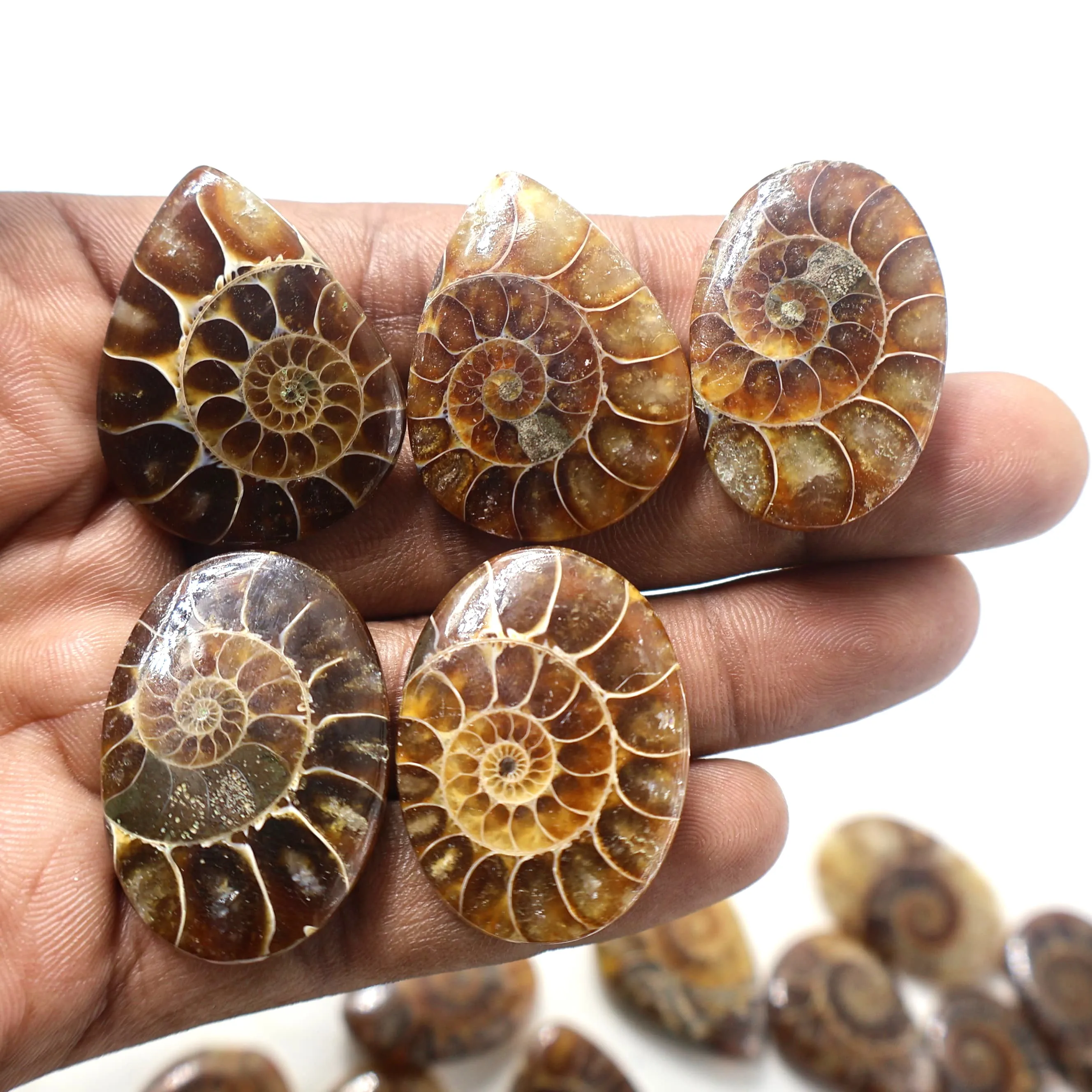 Fossile — Categoria AA