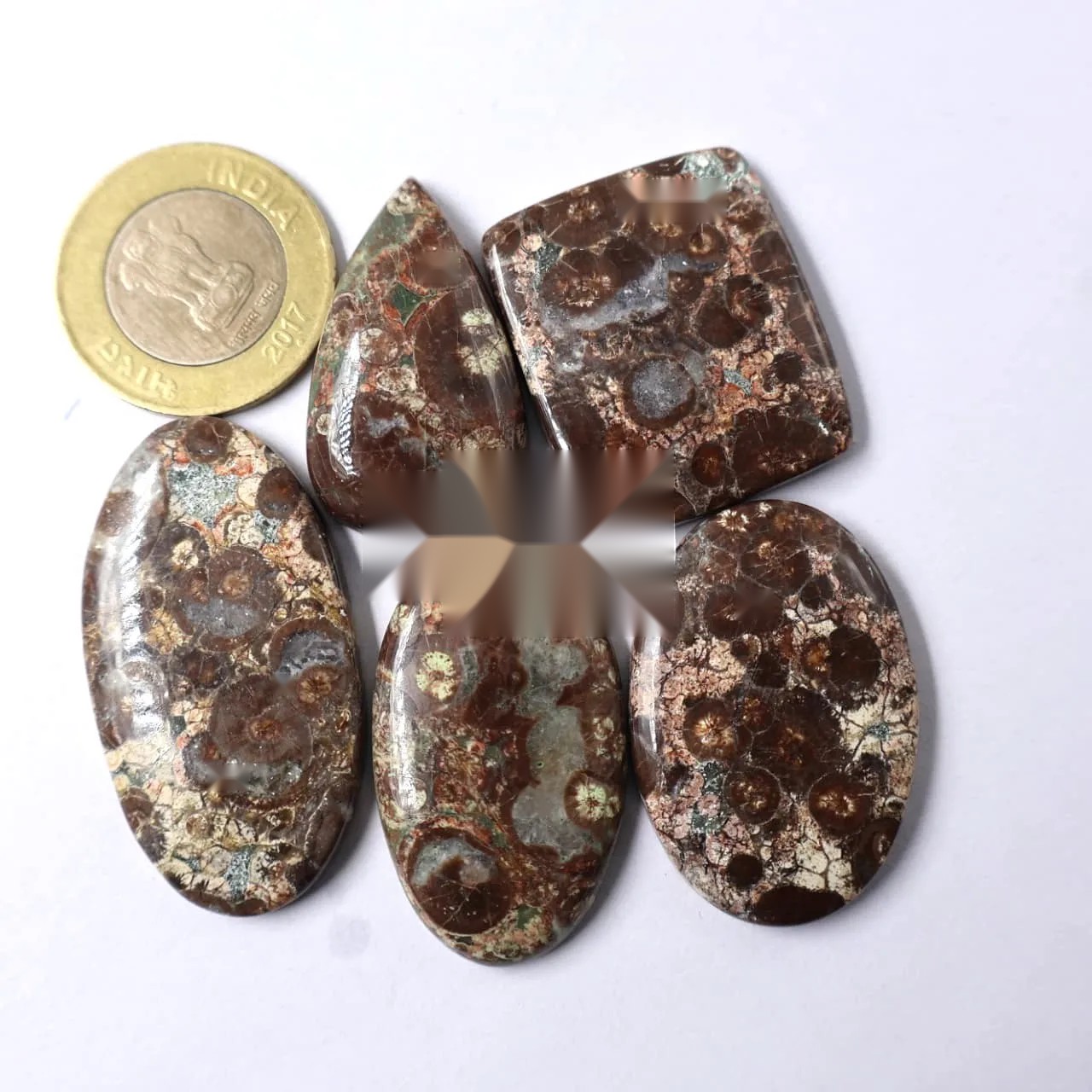Kambaba Coccodrillo (riolite orbicolare) — Categoria AA - foto 1