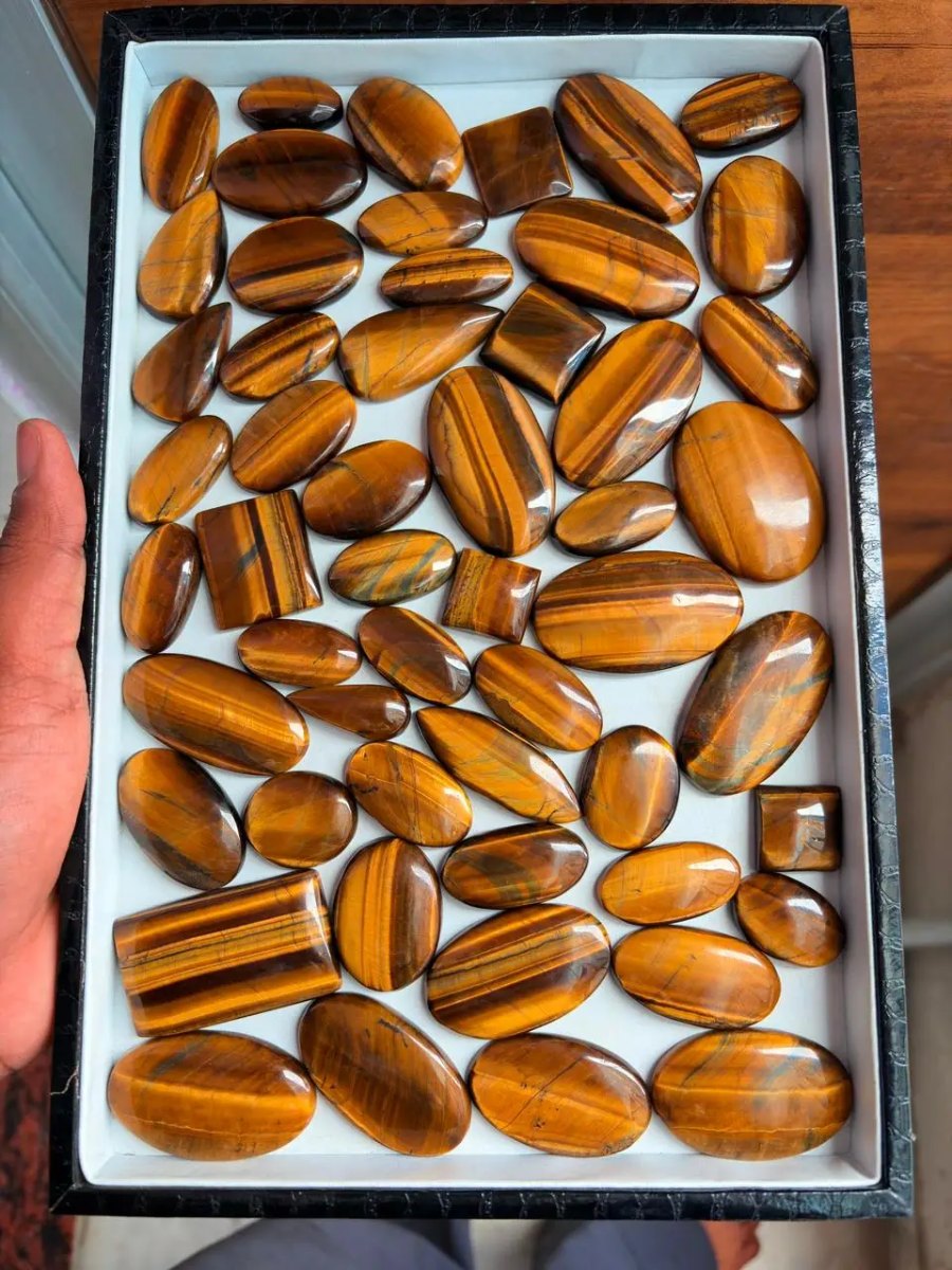 Occhio di Tigre Marrone — Categoria A - foto 1