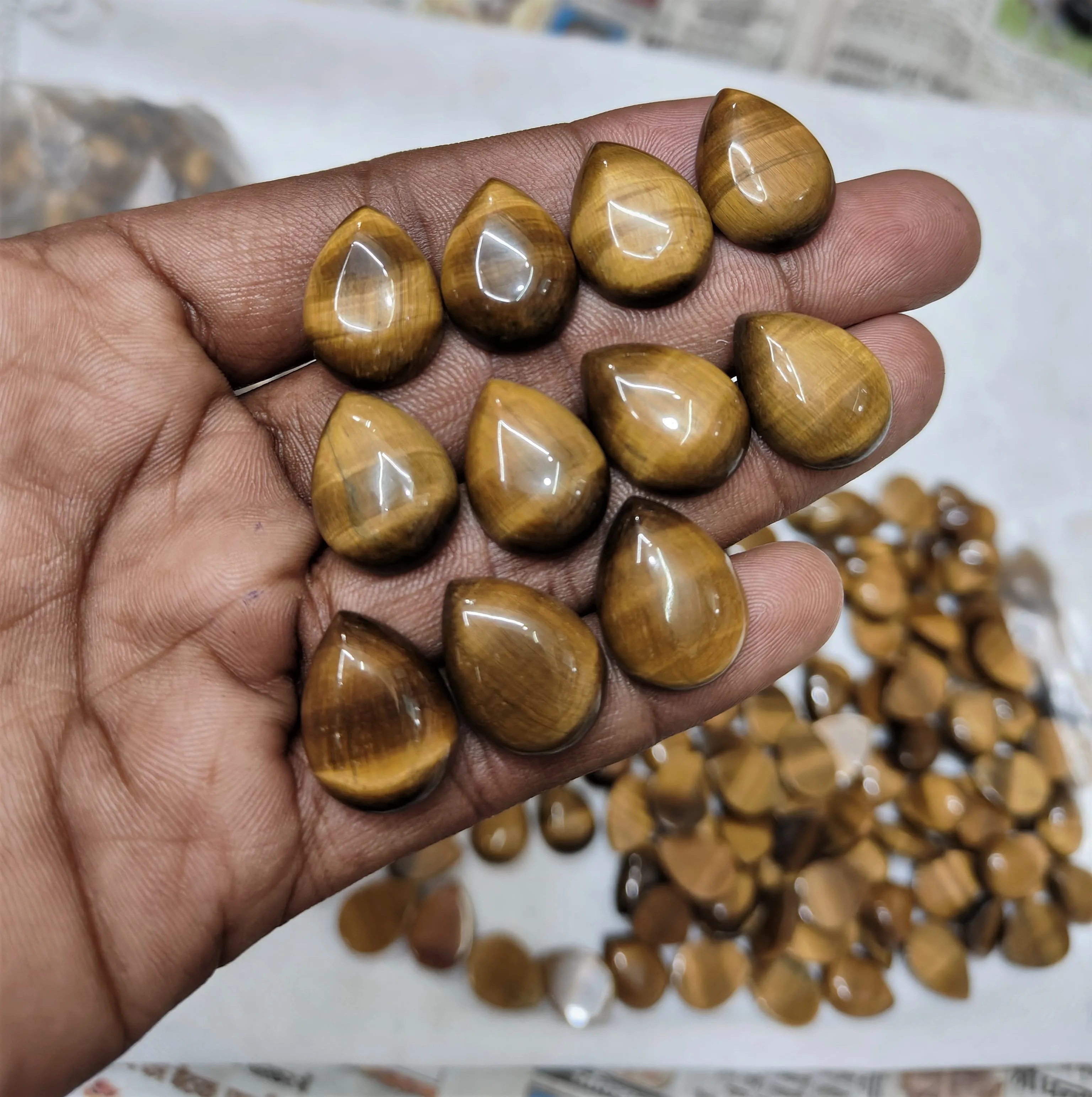 Occhio di Tigre — Categoria AA - foto 1