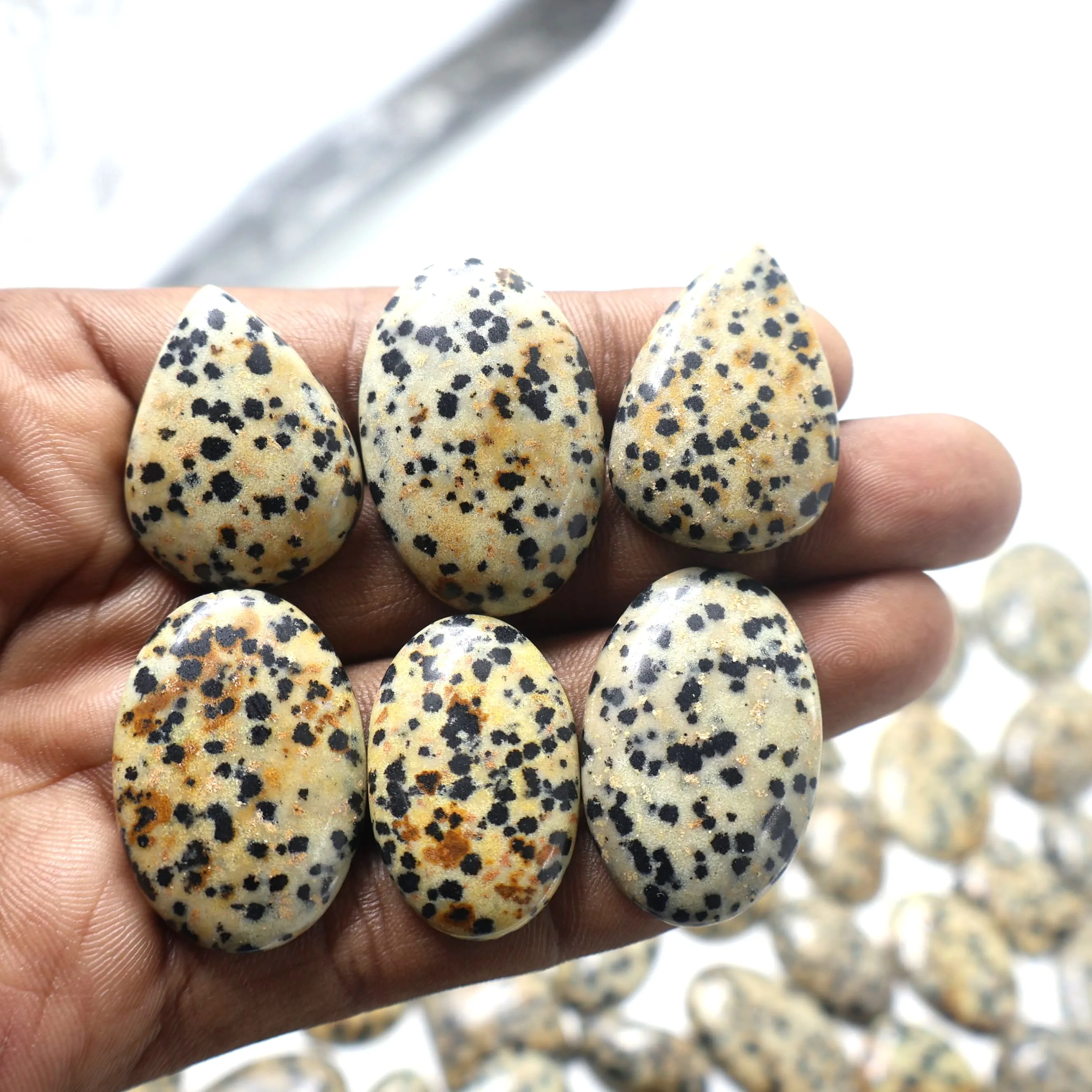 Pietra Dalmata (roccia magmatica con tormalina) — Categoria AA - foto 1