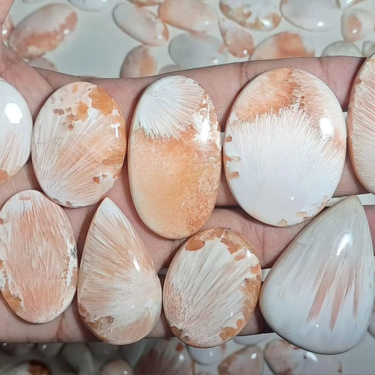 Scolecite Rosa — Categoria A - foto 1